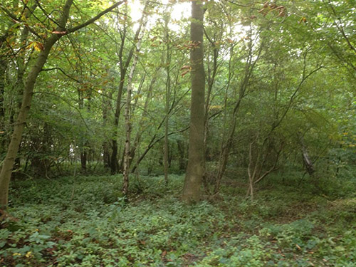 Moor Lane Copmanthorpe