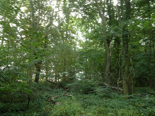 Moor Lane Copmanthorpe