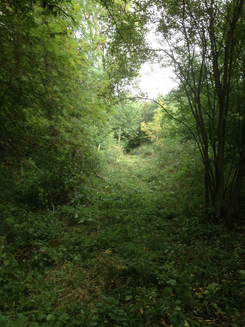 Moor Lane Copmanthorpe