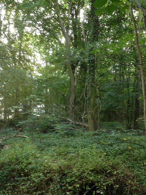 Moor Lane Copmanthorpe
